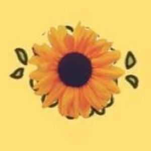 Meet your Posher, Clara